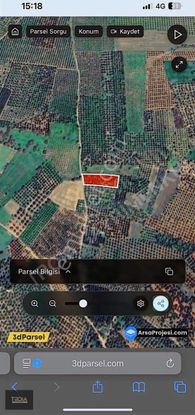 Saklı Cennet Geyikli Darıköyde Zeytinlik Fırsatı!