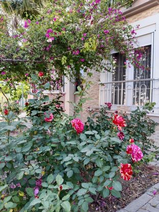 Dalaman Hürriyet Mah.de Ozel Otoparkli Bahceli Mustakil Tadinda 3+1