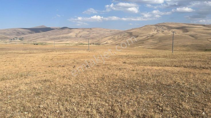 Ağrı'da Satılık Tarla