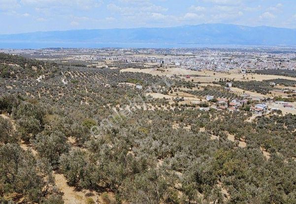 Golden Globy, Havran Şarköy'de Satılık Harika Deniz Ve Körfez Manzaralı 950 M2 Tarla