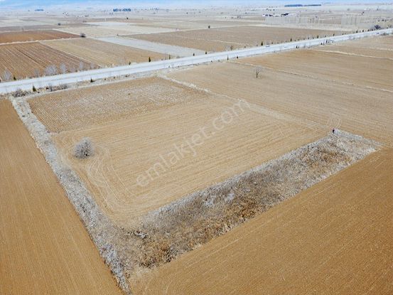 Denizli Baklan Konak 1103 M2 Tek Tapu Tarla Karadeniz Emlak