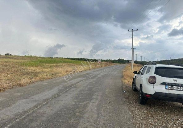 Manisa Turgutlu,da 13 Dönüm Elektirik Sulu Asfalt Cepheli Arazi