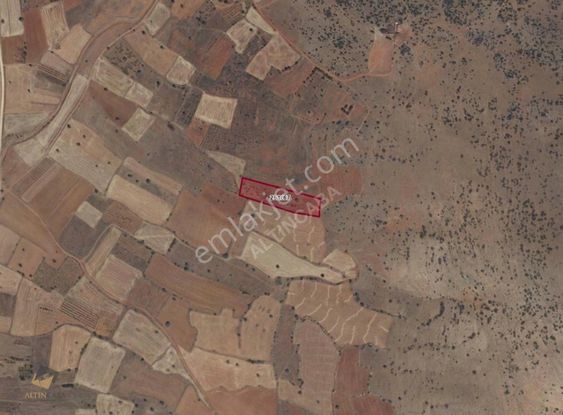 Altıncaba'dan Hüyük Çamlıca'da 5.089 M² Verimli Tarla