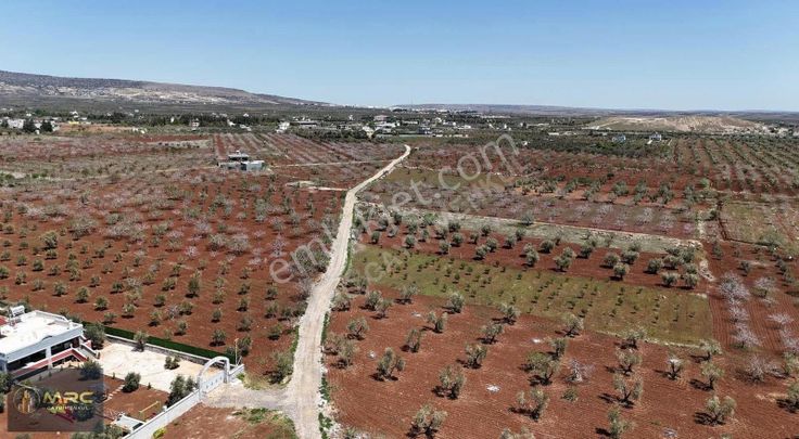 Mrc Gayrimenkulden Sögütlü Dere Karşısında Bag Evlik Zeytinlik