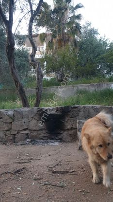 Sahibinden Acil Satılık Villa