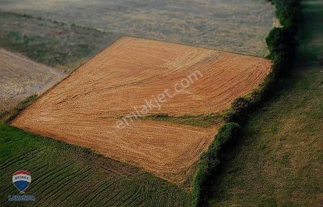 Remax Lavanda'dan Ovacık'da Harika Konumda Tarla