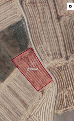 Sahibinden → İhtiyaçtan Acil Satılık