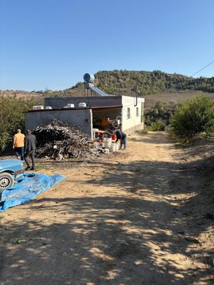 Karaisalı Kuzgunda Toplam 110.000 M2 Satılık Tarla