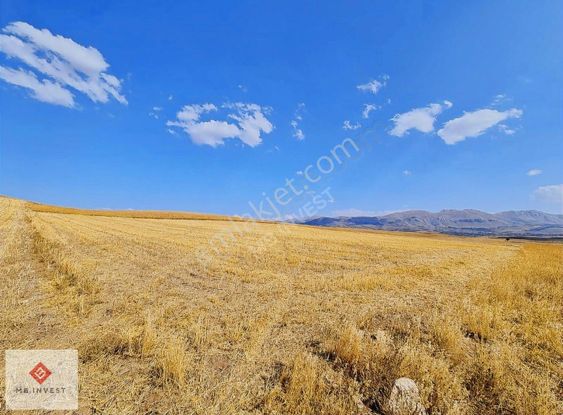 Fiyat Düştü 7456 M2 Tek Tapu Kemer Yakalar'da Yatırımlık Tarla