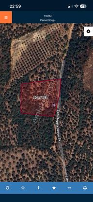 Sahibinden Yatırımcıya Özel İznik Orhaniyede Full Göl Manzaralı 4500 M2 Zeytinlik