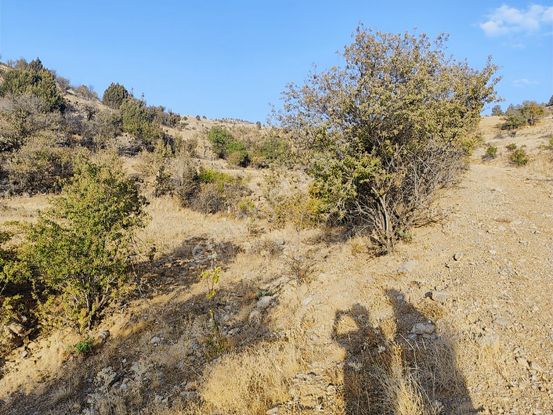 Al Unut Telefon Parasına Arsa Mete Mermer'den