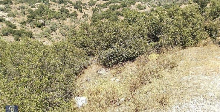 Tarla Vasfında Muhteşem Doğa İçerisinde Fırsat Yer.