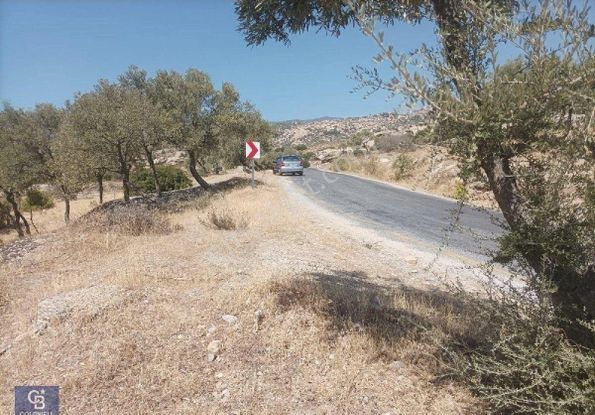 Asfalt Yola Sıfır Zeytinlik