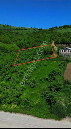 Kaçırılmaz Yatırım Fırsatı Hisse