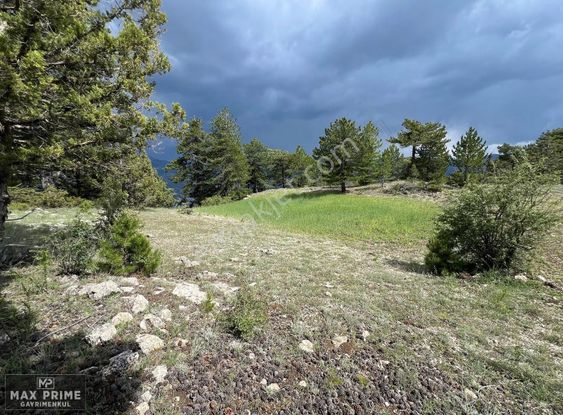 Denizli Acıpayam Eskiköy'de Satılık Tarla