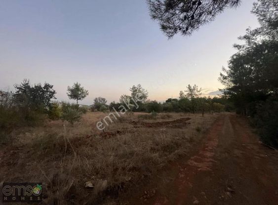 Emso Homes'den Satılık Tarla Korkuteli Kayabaş Tek Tapu