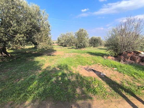 Acil Manisa Saruhanlı Halitpaşa'da 900m2 2 Kat 0.40 İmarlı Arsa 5.250.000