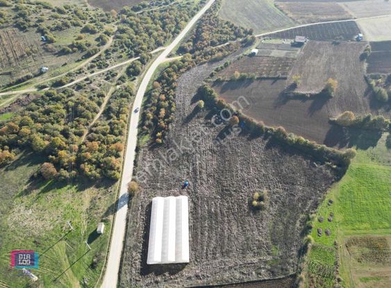 Yenişehir Fethiye'de 20.800m2 Tek Tapu Fırsat Arazi