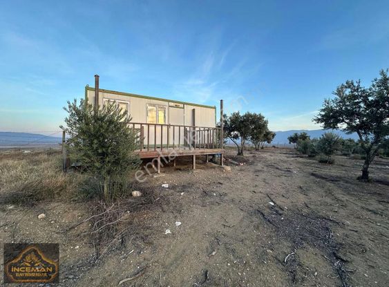 96.000m2 Asfalt Üzeri Ulaşımı Kolay Zeytinlik