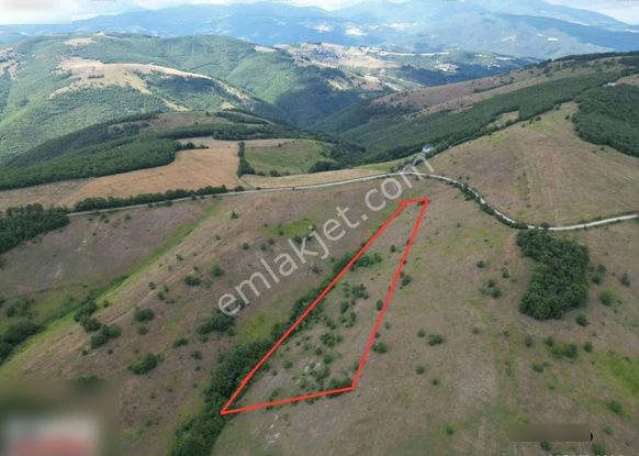 Karaaslanda Yola Yakın Fırsat Tarla Yatırım Icın Uygun Cazıp