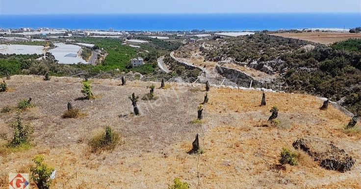 Görgün'den Kocahasanlı'da 5512m2 Deniz Manzaralı Tarla Ve Ev