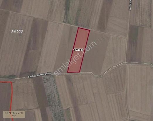 Acil Satılık 82 Dönüm