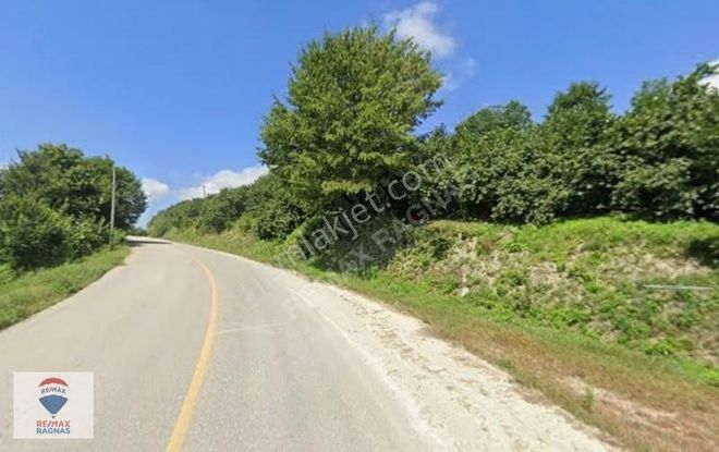 Düzce Cumayeri Sırtpınar Da Satılık 5086m2 Yola Cephe Fındıklık