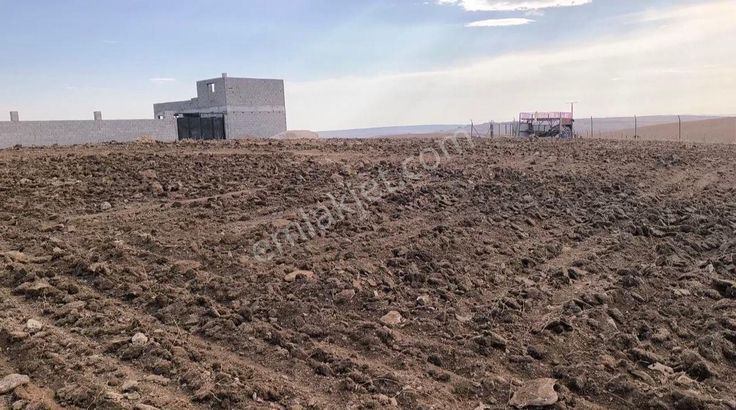 Ağızhanin Esentepesi Zirvesi Konum En Havadar