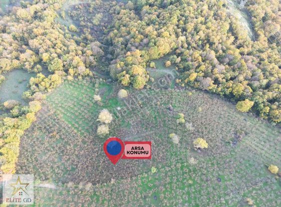 Elite Gd & Düzce Ketenciler Mah. Satılık 4.941 M² İmar Sınırında