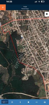 Realty World Ankadan Orfe Yakını Orman Manzaralı Arsa