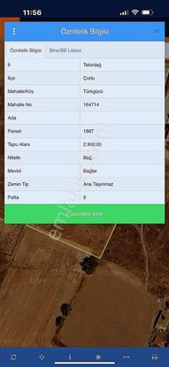 Akkaya İnşaattan Çorlu Türkücüde 2.900m2 Bağ Yeri