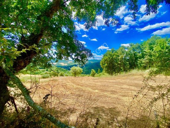 Balcity - Balıkesir Havran Kobaklar Mah.3.400 M2 Müstakil Tapulu Arazimiz Fırsat Fiyat