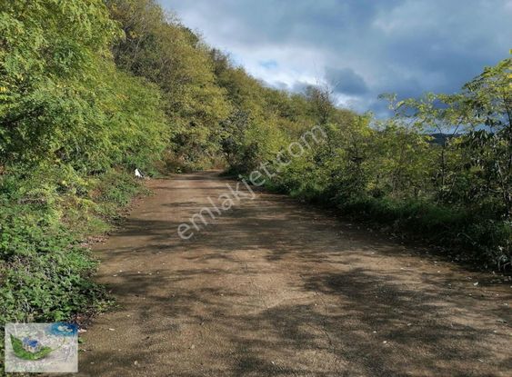 Bulut Emlak Uğurluda Satılık 1013 M2 Çalılık Arsa