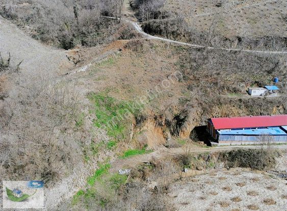 Bulut Emlak Yeşilova Karşıyaka Mah. Satılık 2241 M2 Arsa