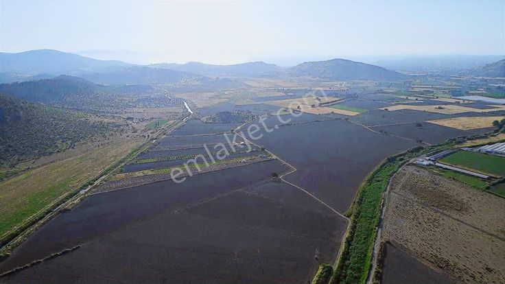 Dikili Merkeze 5 Dakika Elektrik Su Yol Var Emsallerinin Altında