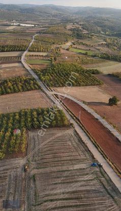 Royal Office Den Yenişehir Akbıyık Da 525m2 Satılık Hobi Bahçesi