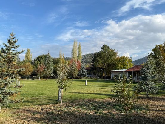 Efa'dan Erkmenin Müthiş Konumunda Bakımlı Kış Bahçeli Arazi