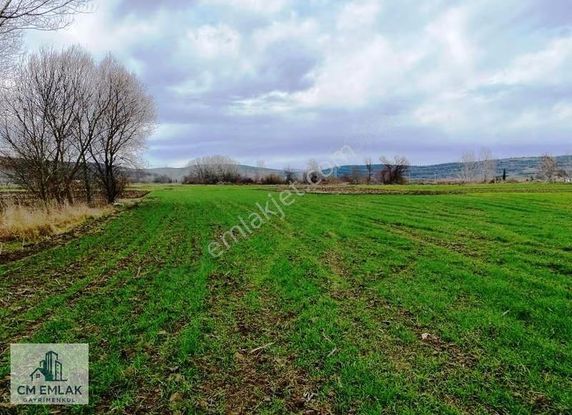 Karacabey Hürriyet Teknosab'a Yakın Satılık Tek Tapu Arazi