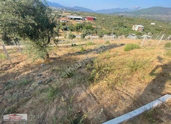 Safir'den Uygun Fiyatlı Tarla