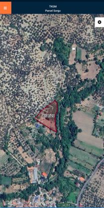 Golden Globy, Havran İnönü'de Satılık 5,5 Dönüm Bahçe