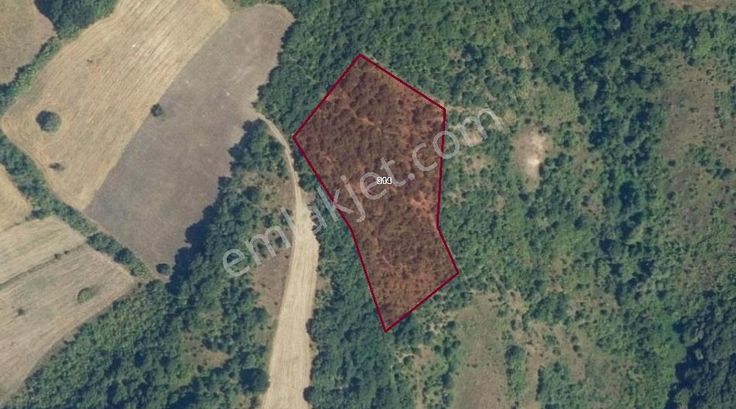 K2 Pera M.kemalpaşa Lütfiye Termal Turizm Projesi İçinde Arazi