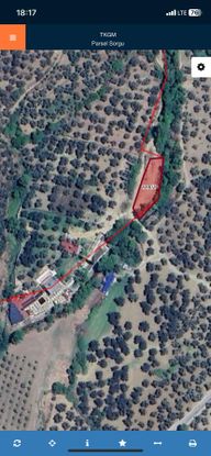 Havran Satılık Tarla