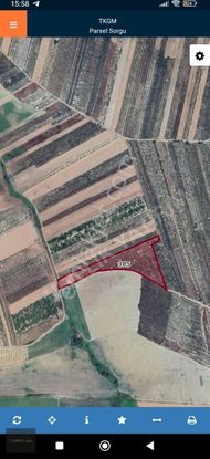 Karacabey İsmetpaşada Satılık 21150 M2 Tarla