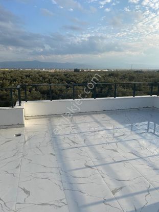 Zeytinli’de 200 M² 3+1 Açık Mutfak, 80 M² Teraslı, 2 Mutfak & 3 Banyolu, Yerden Isıtmalı