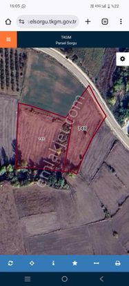 Ay Emlak'tan Kemalpaşa Çardakbelende İki Tapu 9150 M Asafalta Cephe Tarla