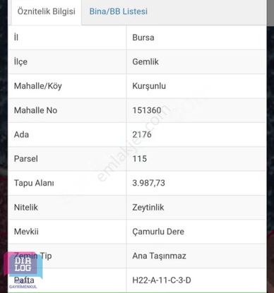 Dialog İdeal'den Satılık Doğayla İç İçe Zeytinlik