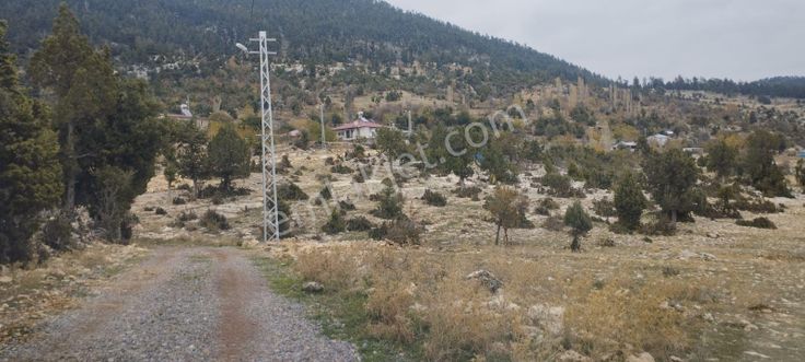 Mersin Tarsus Keşli Hopur Da 1843 M2 Yerleşimnyeri İçi Tekntapu Satılık Kelepir