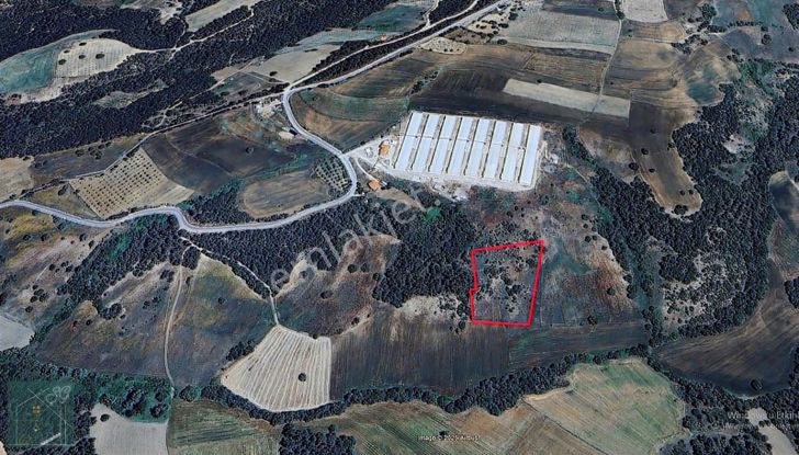 Şükran Gayrimenkul'den Sakarya Geyvede Satılık Tarla