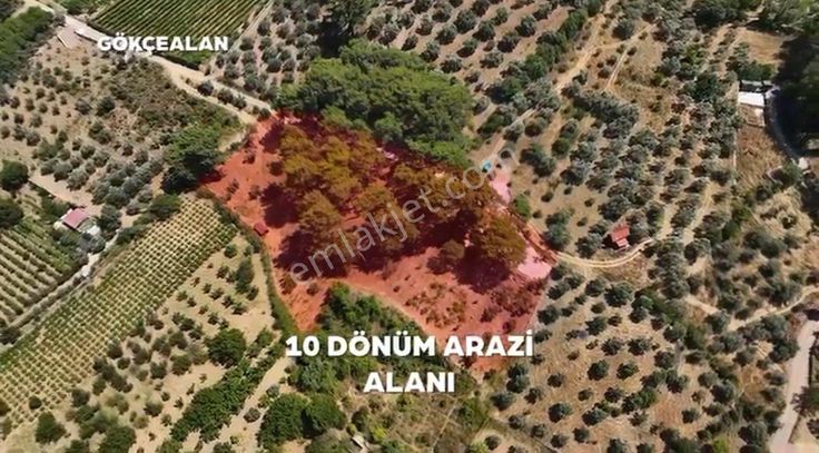 Gökçealan’da Bungolov Evli Tarla