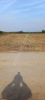 Turgutlu Nurcan Emlak'tan 7.mıntıka 14.088 M² Tek Tapu Tarla